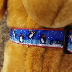 Lupine Quik Release Dog Collar